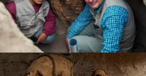 Archaeologists Ran Away: What These Mummified Warriors Revealed on the Road to Puno Will Shock You.