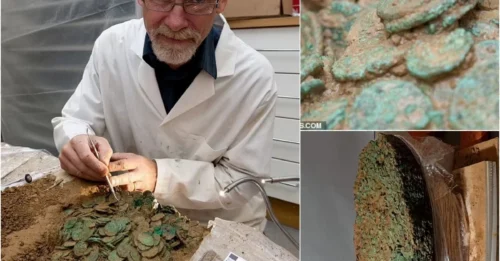 After Decades of Obsession, Two Detectorists Just Pulled 69,347 Iron Age Coins From a Hedge – The Queen Got the Final Say