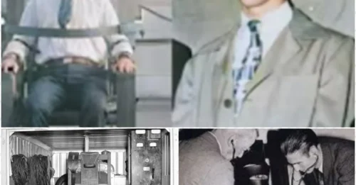 The HORROR of the ELECTRIC CHAIR: The Secretly Filmed FINAL Moments of “MAD DOG” James Morelli — the 22-Year-Old Gangster Who Faced Death as the Current Prepared to Strike 7