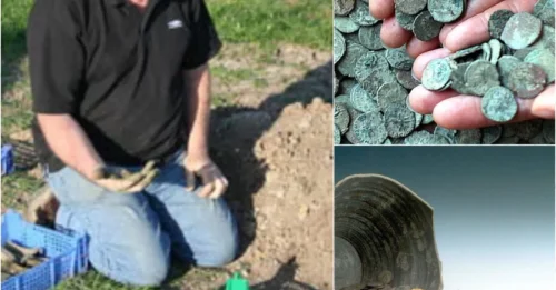 52,000 Roman Coins in a Single Pot: The ‘Geeky’ Hobbyist Who Just Stumbled Upon a Buried Emperor’s Bribe – And Walked Away for 3 Days