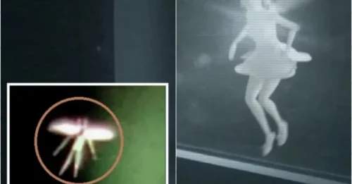ALIEN FAIRIES CONFIRMED? 2012 security cam captured a humanoid entity fluttering in a nest – then the family RAN. This is not a moth, this is an extraterrestrial biological entity.