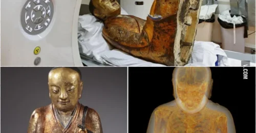 Hundreds Tried, Only 28 Succeeded: Inside a 1,000-Year-Old Buddha Statue, the AGONIZING Secret of Self-Mummification Revealed by CT Scan