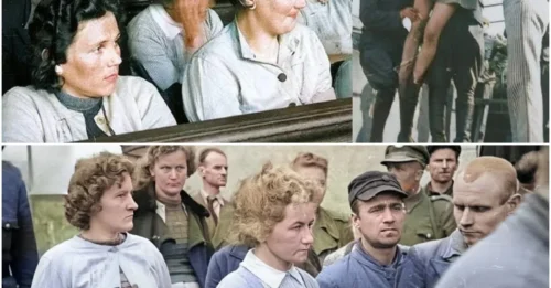 The FINAL HOURS of 11 condemned guards: Their HORRIFYING last words BEFORE 200,000 witnesses in Poland – a public execution NO ONE will ever forget.