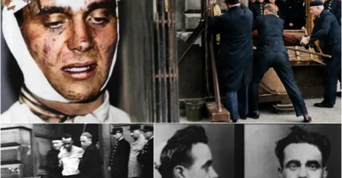Why Was Eugen Weidmann Publicly Executed BY GUILLOTINE In Front Of 10,000 People: The HORRIFYING Final Moments Of This Man Forced French Law To Make A Historic Decision