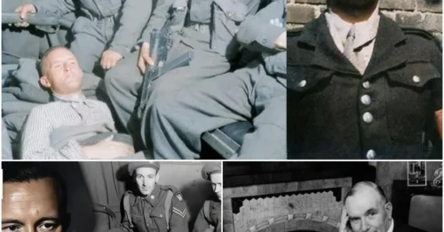 The WORLD’S MOST HATED TRAITOR’S FINAL REST DISTURBED: The 30-Year GRUESOME Journey of Lord Haw Haw’s Corpse – From EXECUTION by Albert Pierrepoint to a GLASS-SIDED GRAVE.