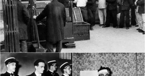 10,000 People CHEERED as Eugen Weidmann Was Publicly Guillotined — What Happened That Day Was So SHOCKING France Immediately Changed the Law 7