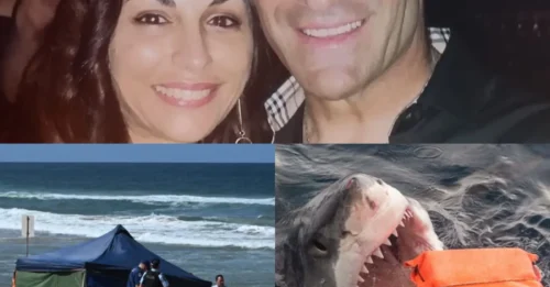 THE FINAL MOMENTS! Dad’s last act of bravery before being mauled to death by 16ft shark as surfers recall ‘traumatic’ attack
