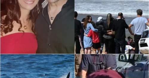 THE MOST HORRIFIC SHARK ATTACK IN SYDNEY: The 10 HORRIFIC Final Minutes Of A Brave Father Saving Everyone Before A 16ft Shark Mauled Him To Death - HE IS A HERO