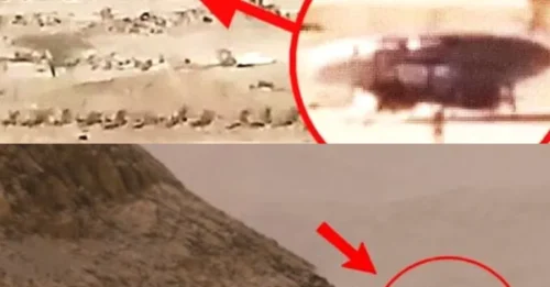 WE ARE NOT ALONE: Desert Hiker Captures SHOCKING Raw Footage of Alien Entities – World in Panic Mode