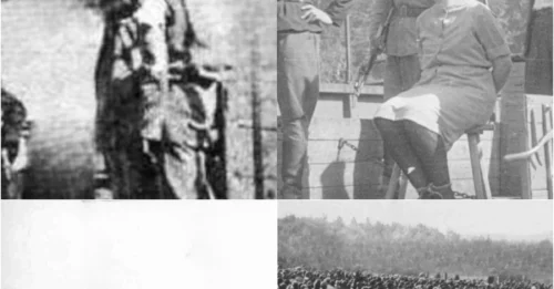 11 FEMALE GUARDS OF STUTTHOF CAMP executed on a GIANT gallows: The Final Moments In Front Of 200,000 People Of 