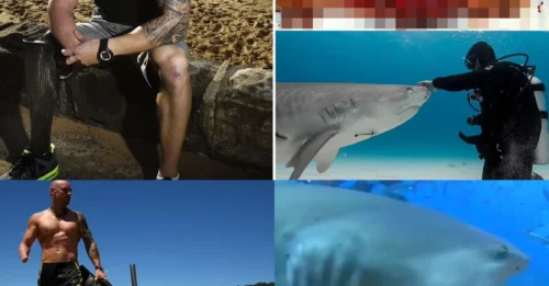 The HORROR and the MIRACLE: Navy Diver Who Lost an Arm and Leg to a Shark Reveals What SURVIVING Really Felt Like – As the Odds Behind This Week's Attack Come to Light
