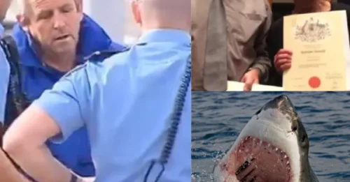 'SHE WAS SO BEAUTIFUL' DEVASTATED Husband Breaks Silence with HEART-WRENCHING Tribute After Brit Gran Is Killed by Great White Shark