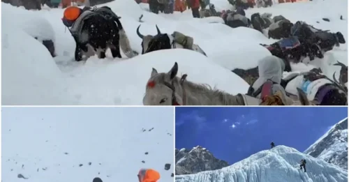 The DEADLIEST STORM in Everest history LEFT 600 WITNESSES IN HORROR — Bodies FROZEN SOLID at 29,000 Feet, Scattered Like Ghosts on the Killer Mountain HM