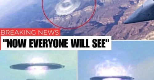 ALIEN ESCORT OVER PACIFIC? Passenger horror as disk-shaped UFO paces Tokyo-bound jet at 35,000 feet – then VANISHES at impossible speed