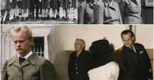 The FEMALE BELSEN GUARDS Were NOT Executed by the State – They Were HANGED PRIVATELY at Dawn. The FINAL Terrified Screams of History’s Most EVIL Female Wardens Still Echo in the Forest. HM