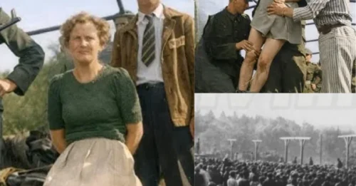 They LAUGHED Through Their War Crimes Trial — But Moments Before Their PUBLIC HANGING, These 5 FEMALE Stutthof Guards COLLAPSED in Tears Before 20,000 Witnesses 7