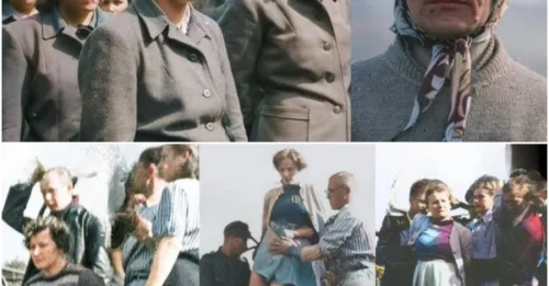The DAY the FEMALE DEMONS of Bergen-Belsen FACED THE ROPE: The CHILLING last hours of the guards who STOLE 50,000 souls – Their screams FINALLY silenced. HM