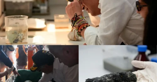 GOLDEN TOUCH: First Treasures Finally Hauled From the ‘Holy Grail’ Shipwreck Packed With £16 Billion in Gold and Silver — 300-Year Mystery Takes Stunning Turn