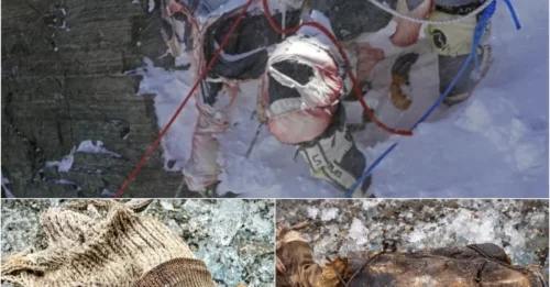 Melting Ice, Rising Bodies: Why Climate Change Is Turning Everest Into an Open-Air Museum – The GRUESOME Reality of Dozens of Frozen Corpses Emerging From Glaciers as the Planet Warms