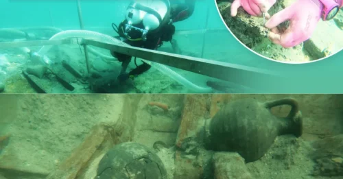 ROMAN GOLD SHOCKER: Treasure-Filled 2,000-Year-Old Shipwreck Found Beneath Holiday Beach — Coins, Priceless Artifacts and ‘Freshly Carved’ Timbers Inside