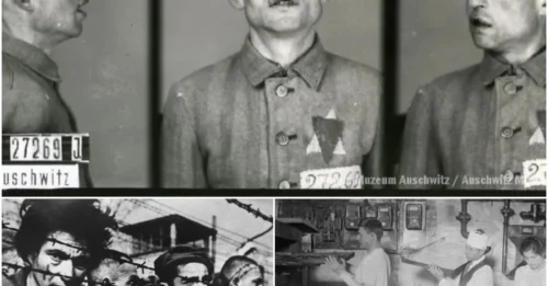 The 17-DAY AGONY of Stanisław Stimmler – a MAN who baked bread for his EXECUTIONERS, then DIED with a GAZE that CHILLS your soul. HM