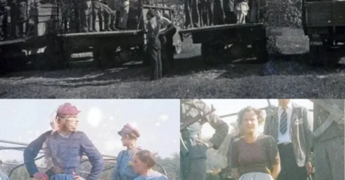 THE WOMEN OF STUTTHOF: The Six Nazi Female Guards Whose Names Became Synonymous With FEAR — And the Final TERRIFYING Moments That Sealed Their Fate 7