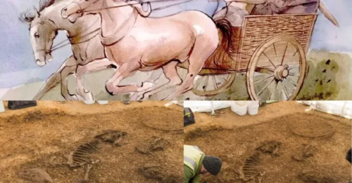 BURIED FOR 2,500 YEARS: Mysterious Horse Sacrifice and Elite Iron Age Chariot Emerge From the Earth — Discovery Declared of “International Significance”