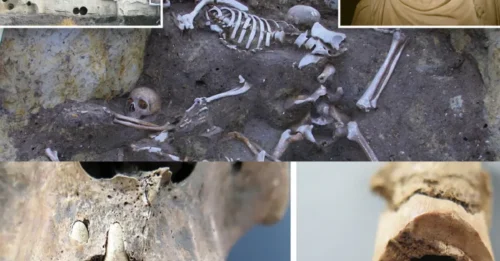 ANCIENT HORROR: Seven Roman Soldiers Found at the Bottom of a Well After One of Rome’s Bloodiest Battles — Perfectly Preserved Skeletons Reveal an 1,800-Year-Old Mystery HM