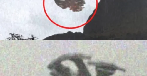 SHOCK DISCOVERY: UFO Hunters Find Mysterious Metallic Disc Buried in Snow-Covered Mountain — Is It Evidence of Alien Visitors?