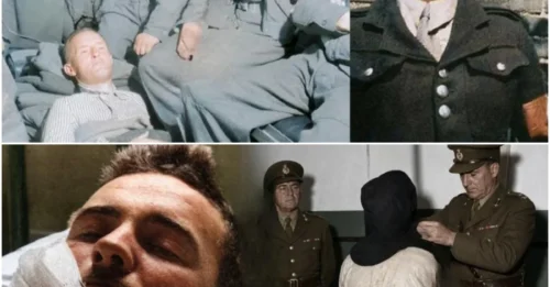 The BODY of Lord Haw Haw Revealed a TERRIFYING Secret – What Albert Pierrepoint SAW on the Gallows CHANGED Everything 7