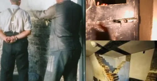 Feared More Than the Gas Chambers: How the SS “STANDING CELLS” Drove Prisoners Into MADNESS, Relentless Agony and Death  HM