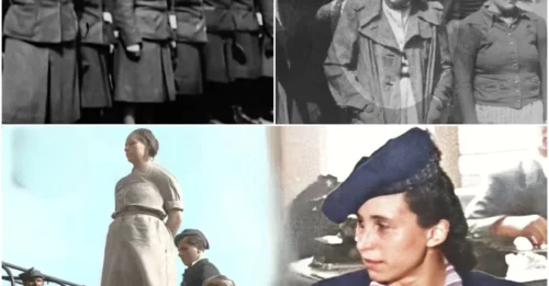 The BEAUTIFUL SPECTER’S last TWENTY MINUTES were NOT tears or prayers – but the SOUND OF HER NECK SNAPPING under the Stutthof gallows, while THOUSANDS CHEERED HM