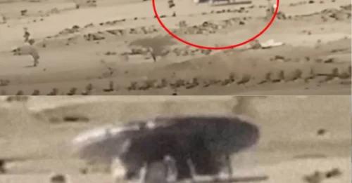 DAYLIGHT UFO SHOCKER: Mysterious Craft Lands in Saudi Arabia, 