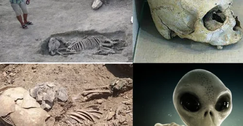 SHOCK ARCHAEOLOGY FIND: 