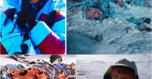 The Final Cries For Help Of Yasuko Namba, 