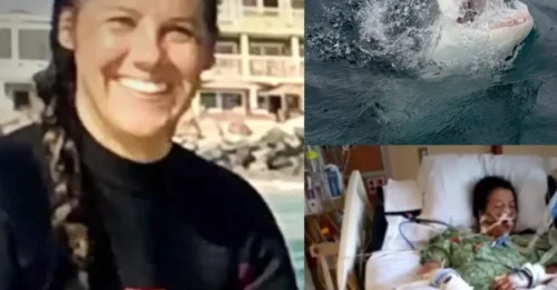 GREAT WHITE FIGHT! Mum Thought of Her Kids as Shark Dragged Her Under — Then She Gouged the Predator’s Eyes and Lived to Tell the Tale