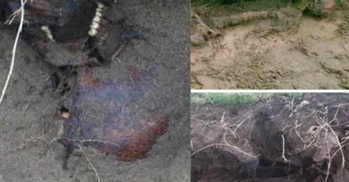 SHOCK DISCOVERY! Storm Ophelia's Raging Winds Unearth Ancient Iron Age Skeleton With Skin Still Attached After 2,500 Years Beneath Ireland's Coast