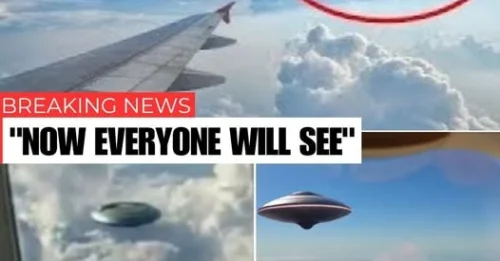 THE VIDEO THAT REIGNITED THE ALIEN DEBATE: Unidentified Object Seen Pacing Commercial Airliner Leaves Experts Searching for Answers