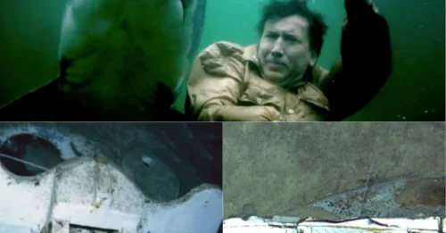 The Ghost Ship of WWII? USS Indianapolis That Delivered the Hiroshima Bomb and Vanished in a 12-Minute Disaster Found After 72 Years