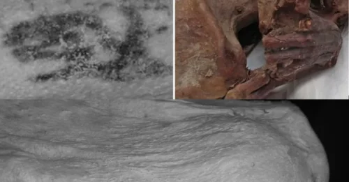 Hidden for Millennia: British Museum Mummy SHOCKS Scientists by Revealing World’s First Animal Tattoos on 5,000-Year-Old Egyptian Arm