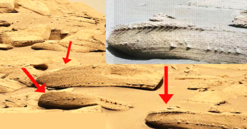 Hidden for Millions of Years? NASA Uncovers Bizarre ‘Fossil Bone’ on Mars That Could Rewrite Everything We Know About the Red Planet