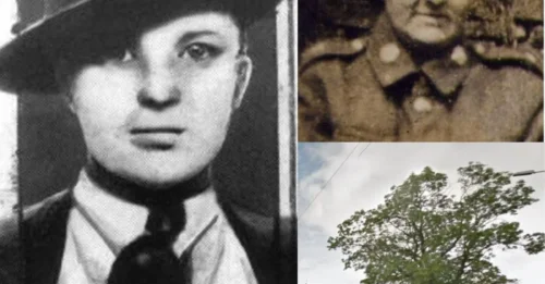 THE LAST WALK TO THE GALLOWS: Strangeways’ FIRST Transgender Prisoner Margaret Allen Remained REMORSELESS After Abusing a Prison Warden — Until the Final Seconds Before Albert Pierrepoint 7