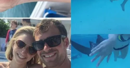 RARE SHARK ATTACK CAUGHT ON CAMERA: Honeymoon Bride Thinks It’s a Joke — Seconds Later, a Giant Shark Latches Onto Her Arm