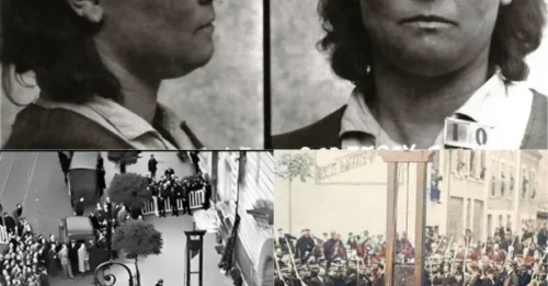 NO PANIC. NO TEARS. NO FEAR. The Eerily Calm Final Moments of France's LAST WOMAN EVER GUILLOTINED — What Sent Her There Is Almost Unbelievable 7