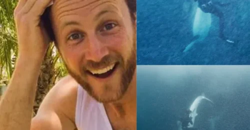 HE LOOKED A GREAT WHITE DEAD IN THE EYE... Moments Later, Witnesses Thought a Metre of Him Had Vanished in the Shark's Jaws