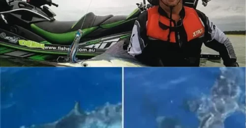 SEA TERROR! Terrifying Moment 15 Deadly Bull Sharks Surround Trapped Jet-Skiers During a Violent Feeding Frenzy