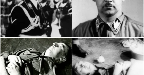 The MAN who organized genocide died a COWARD’S DEATH – by his own poison. Heinrich Himmler did NOT face justice – he CHEATED the gallows by just TWELVE DAYS.