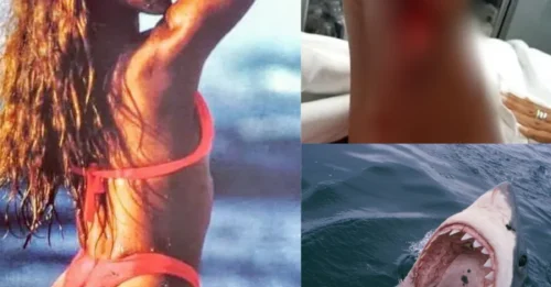 SHE LOOKED DOWN—AND SCREAMED! Brazilian Surfer Reveals the Terrifying Moment a 15-Foot SHARK Attacked Off Hawaii
