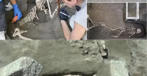 HE LOOKED BACK—AND NEVER TOOK ANOTHER STEP! Archaeologists Uncover a Chilling Pompeii Mystery Frozen for 2,000 Years