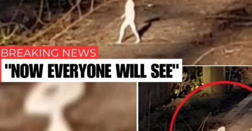 THE FIGURE NOBODY NOTICED UNTIL IT WAS TOO LATE! Eerie Miniature Humanoid Found Hidden in Photograph Raises Questions About Extraterrestrial Visitors
